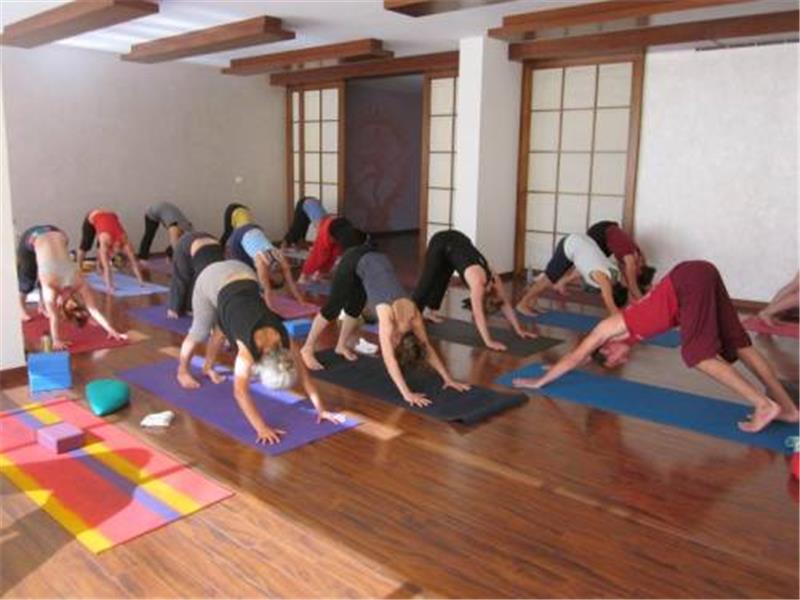 Shiva Yoga Center İstanbul Resimleri